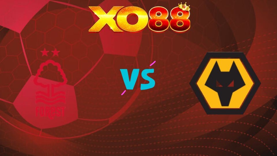 XO88 Nhận định soi kèo Notttingham vs Wolves, 02h30 ngày 12/02/2026